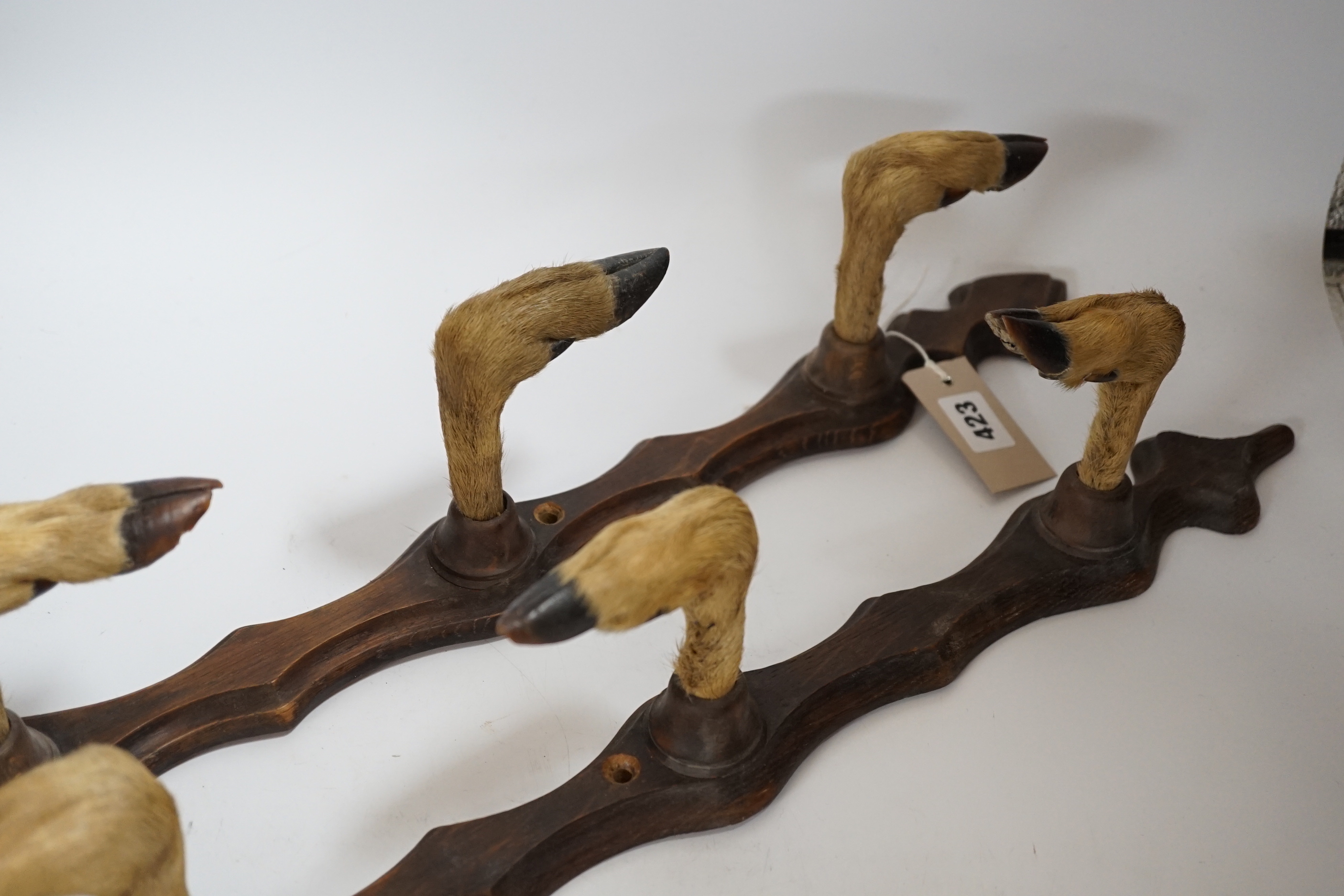 A pair of taxidermy deer hoof gun racks, 63cm long
